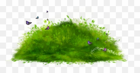Hd Popsicle Png Transparent Image - Grass Path Clipart Transparent,Popsicle Png