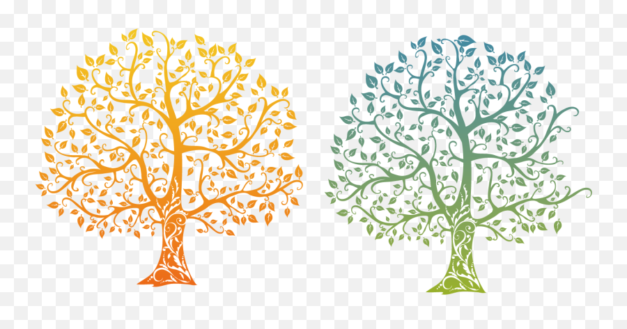 Download Life Family Gradient Of Tree Drawing Clipart Png - Arbol Genealogico De 4,Tree Of Life Png