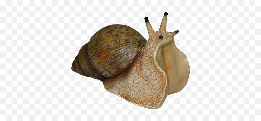 Snail Png 1 Image - Snail Png Transparent,Snail Png