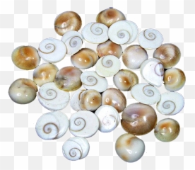 Gomati - Gomti Chakra Image In Png,Chakra Png