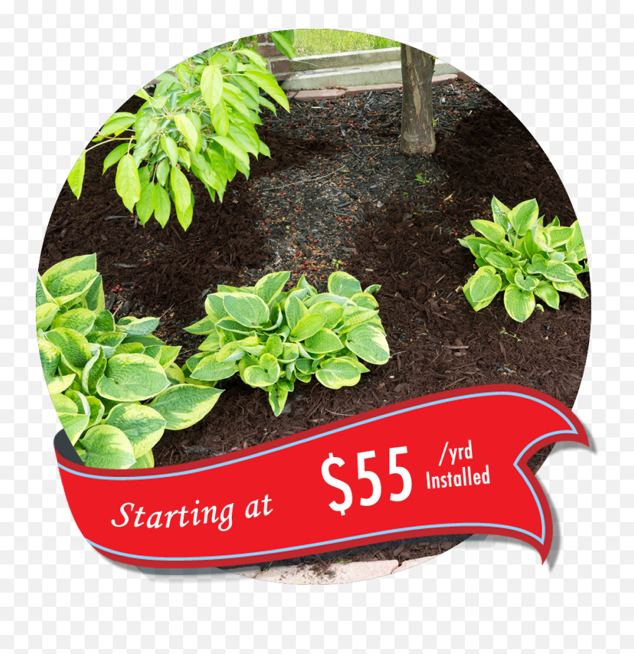 Or Existing Mulch Beds - Mulch Png,Mulch Png