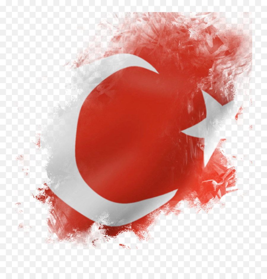 Download Turkey Sticker Turkish Flag T Shirt Roblox Png Sticker Png Free Transparent Png Images Pngaaa Com - roblox removing decals