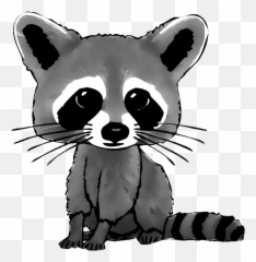 Cartoon Raccoon Drawing Transparent - Jingfm Cute Raccoon Drawing Easy Png,Raccoon Transparent
