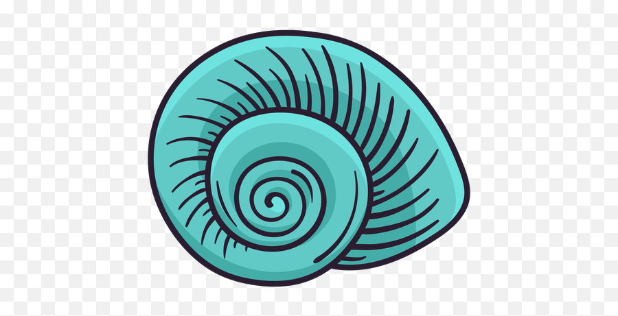Seashells Nautilus Hand Drawn - Transparent Png U0026 Svg Vector Spiral,Seashells Png