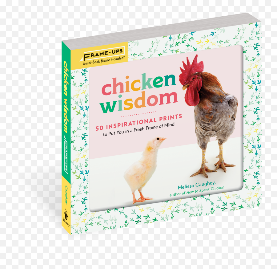 Chicken Wisdom Frame - Ups Chicken Wisdom 50 Inspirational Prints To Put You In A Fresh Frame Of Mind Png,Chickens Png