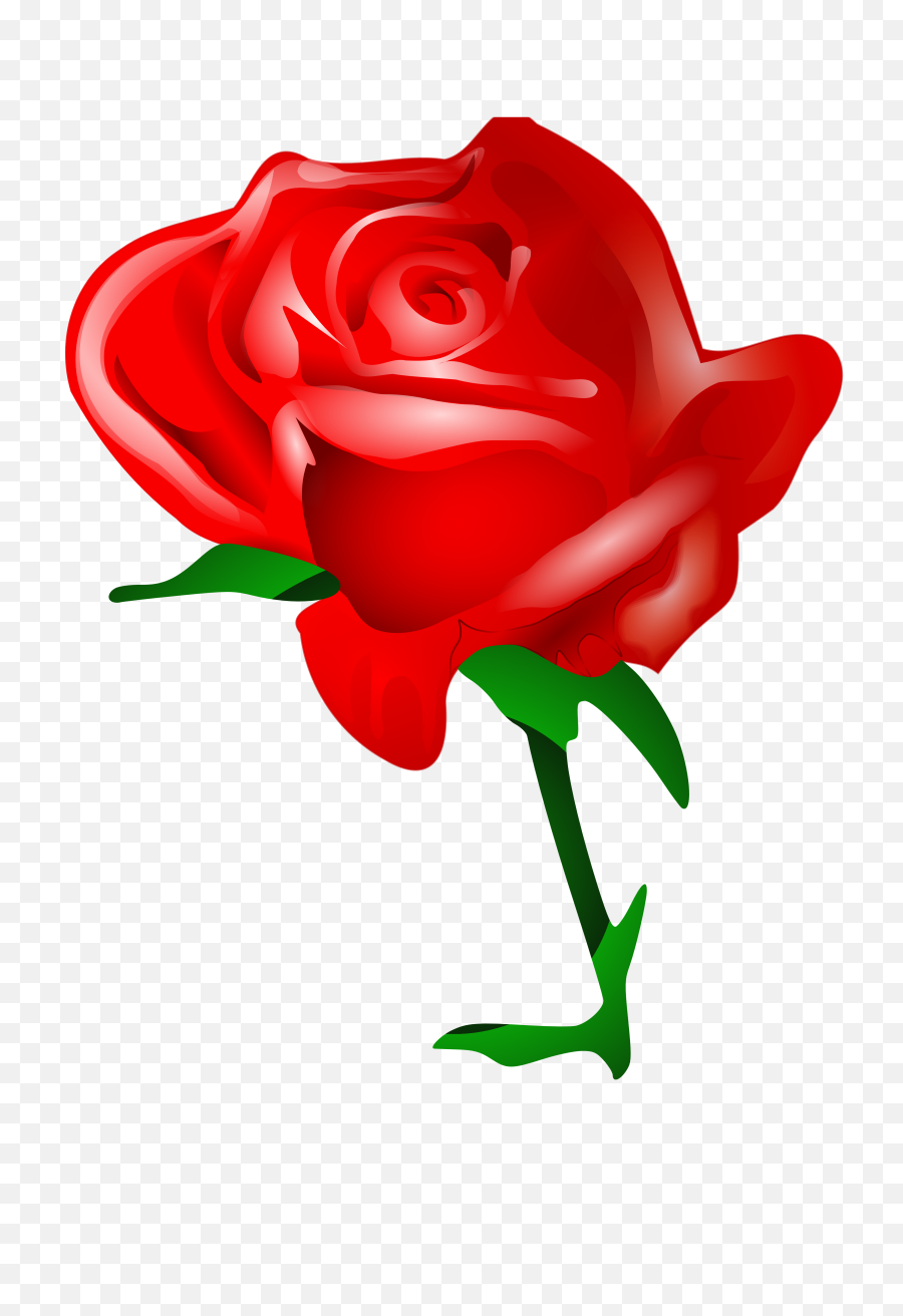 Clipart Without Downloading Collection - Rose Ross Flower Photo Download Png,Downloading Png