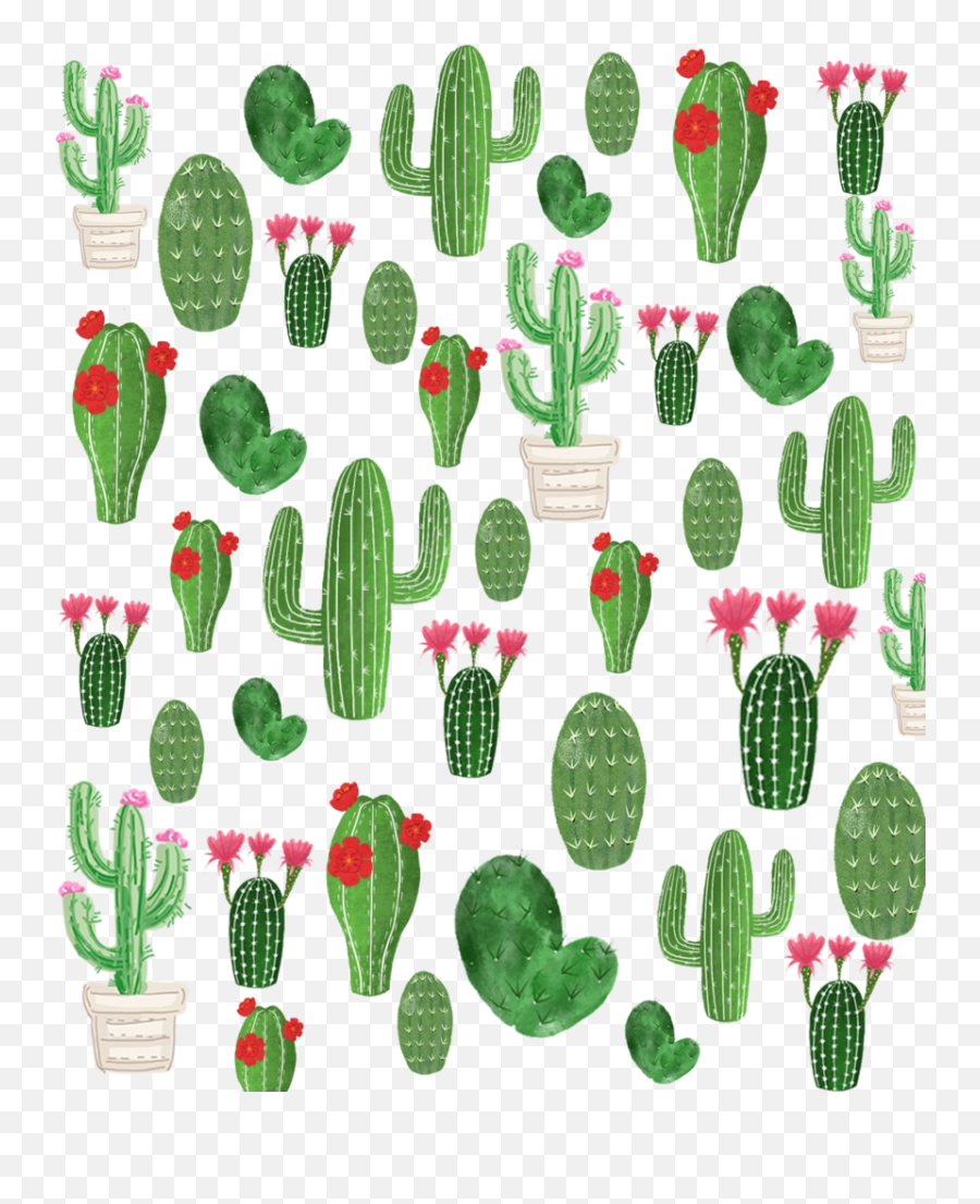 Cactus Summer Green Background Sticker By Anna - Cactus Background Free Png,Cactus Transparent Background