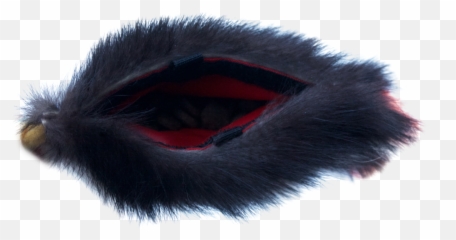 Furry Skunk Tassel Toy U2014 Tugawaycuwin - Animal Product Png,Furry Png