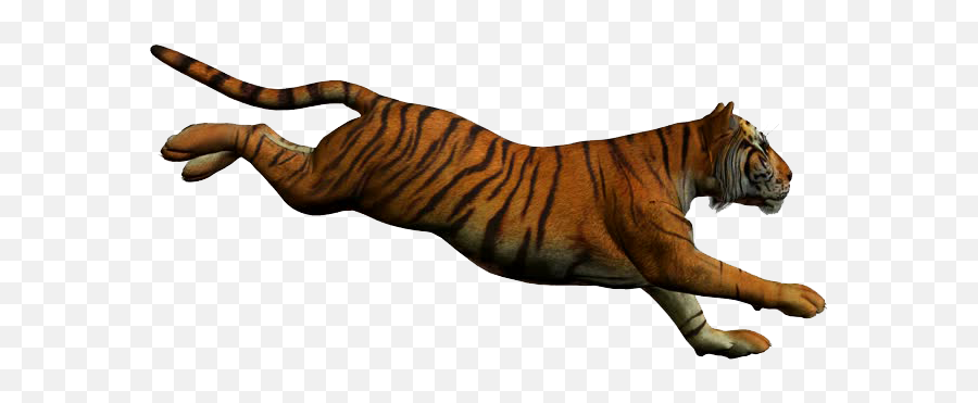 Tiger Jumping White Background - Running Tiger Transparent Background Png,White Tiger Png