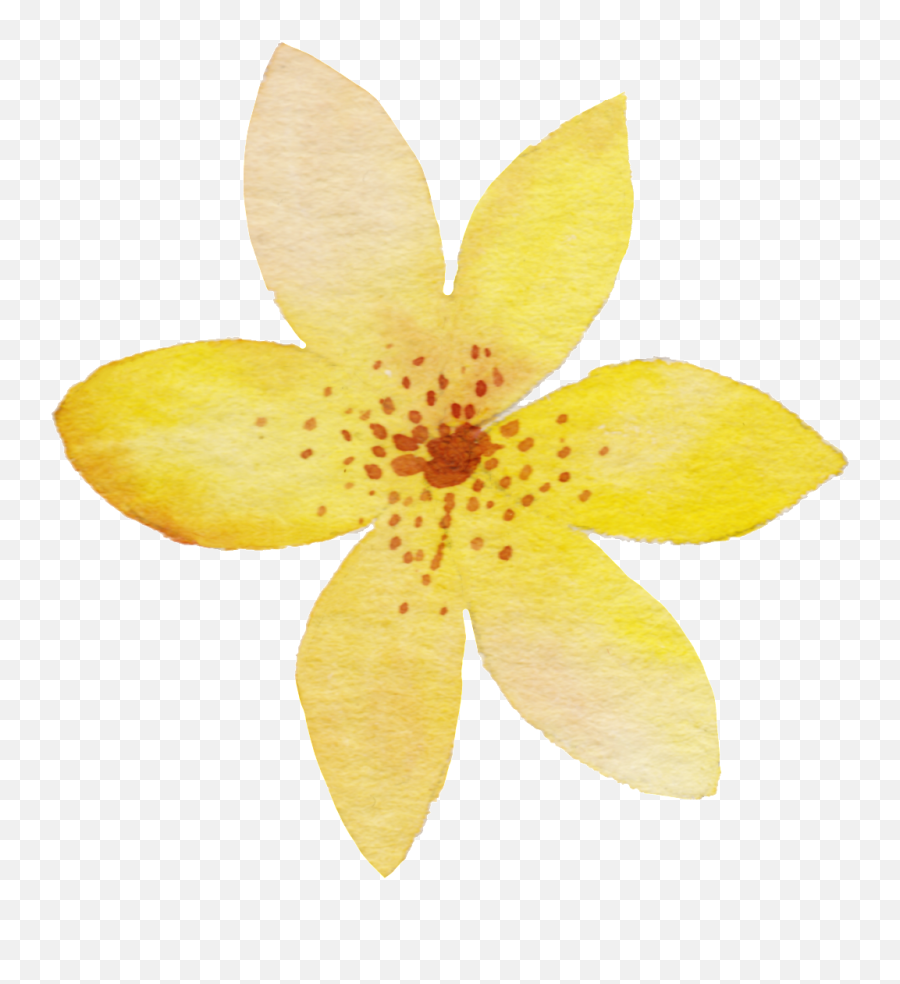 Download Yellow Watercolor Flower Png Transparent - Yellow Yellow Water Color Flowers Png,Watercolor Flower Png