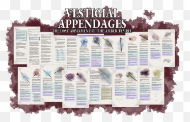 Vestigial Appendages - The Lost Armament Of The Amber Temple Dungeon Masters Guild Dungeon Masters Guild Neo Geo Png,Curse Of Strahd Logo