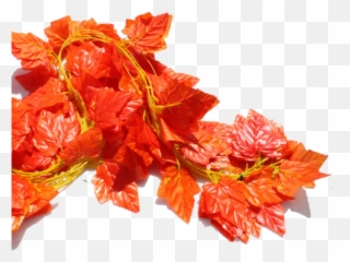 Su Shi Rattan Wall Hanging Artificial Flower Vine Decoration - Begonia png