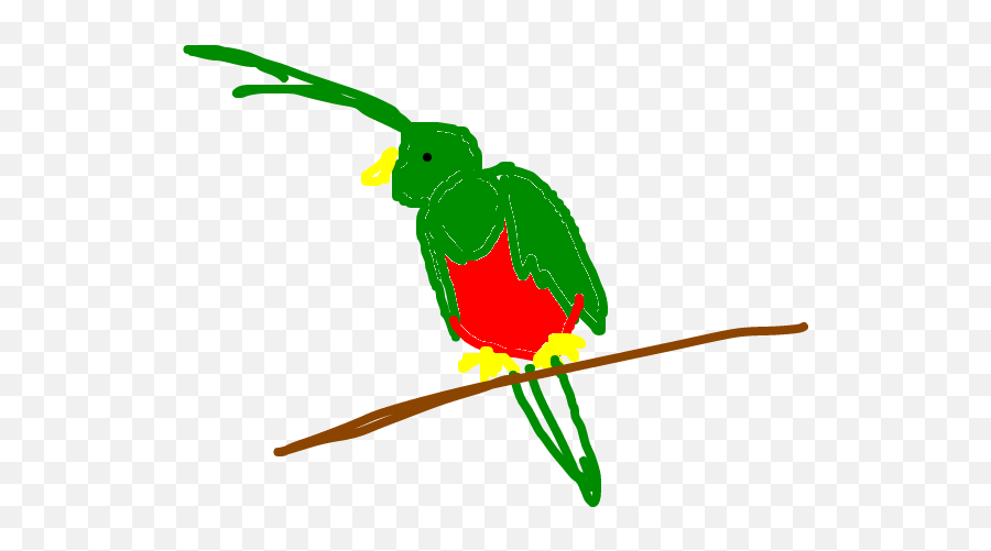 Download Quetzal - Pet Birds Png,Quetzal Png