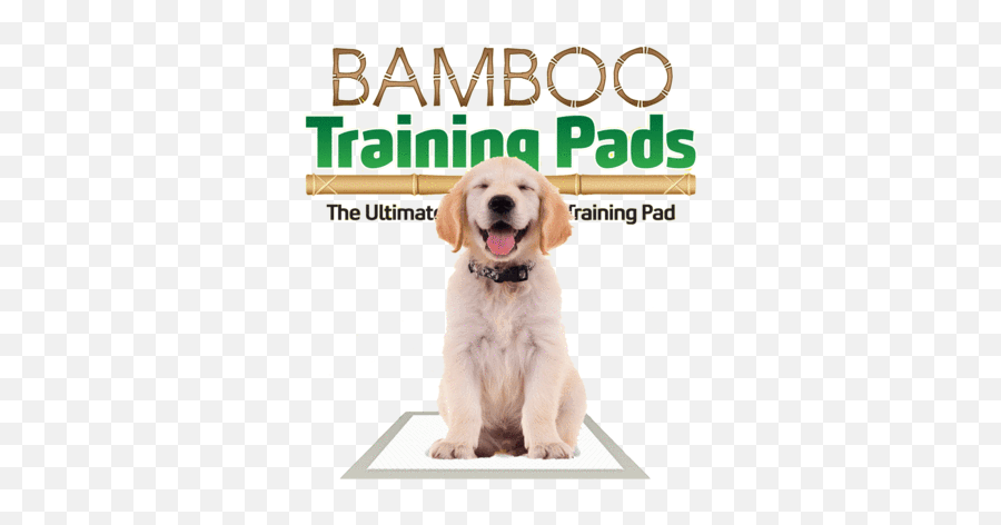The Green Pet Shop - Biodegradable Dog Pads Png,Lol Cat/dog Icon