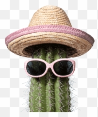 Best Brazilian Wax - Burnaby New West Vancouver Naked Cactus Fondos De Pantalla De Cool De Vacaciones Png,Cacti Png