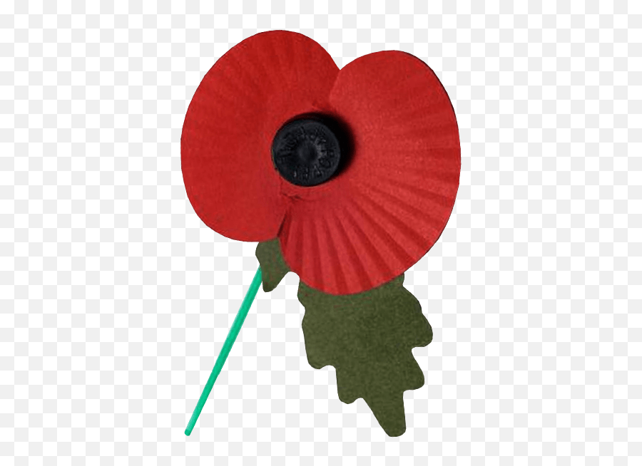 Remembrance Day Poppy Transparent Png Free Images - Transparent Background Remembrance Poppy Png,Corn Transparent Background
