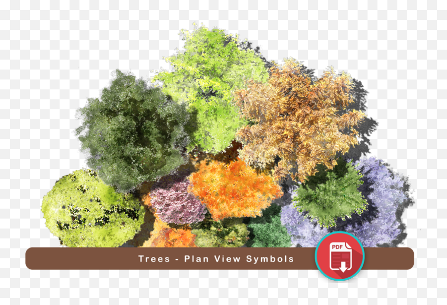 Treesvol01 - Super Landscaping Plan Software Plan Trees Png,Tree Plan Png
