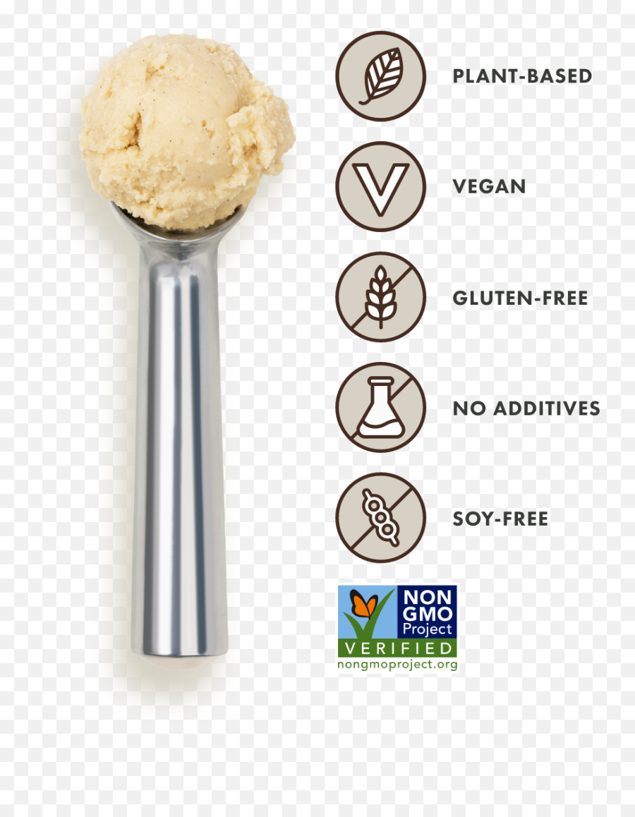 Vanilla Bean Dinoci Dairy Free - Ice Cream Scoop Png,Vanilla Icon