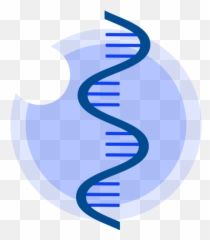 Home - mRNABased Therapeutics Summit Rna Symposium 2022 png
