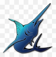 Big Island Fishing - Atlantic Blue Marlin Transparent Atlantic Blue Marlin Png,Marlin Png