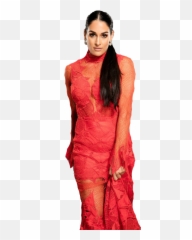 Nikki Bella Png Transparent Image - Nikki Bella,Nikki Bella Png