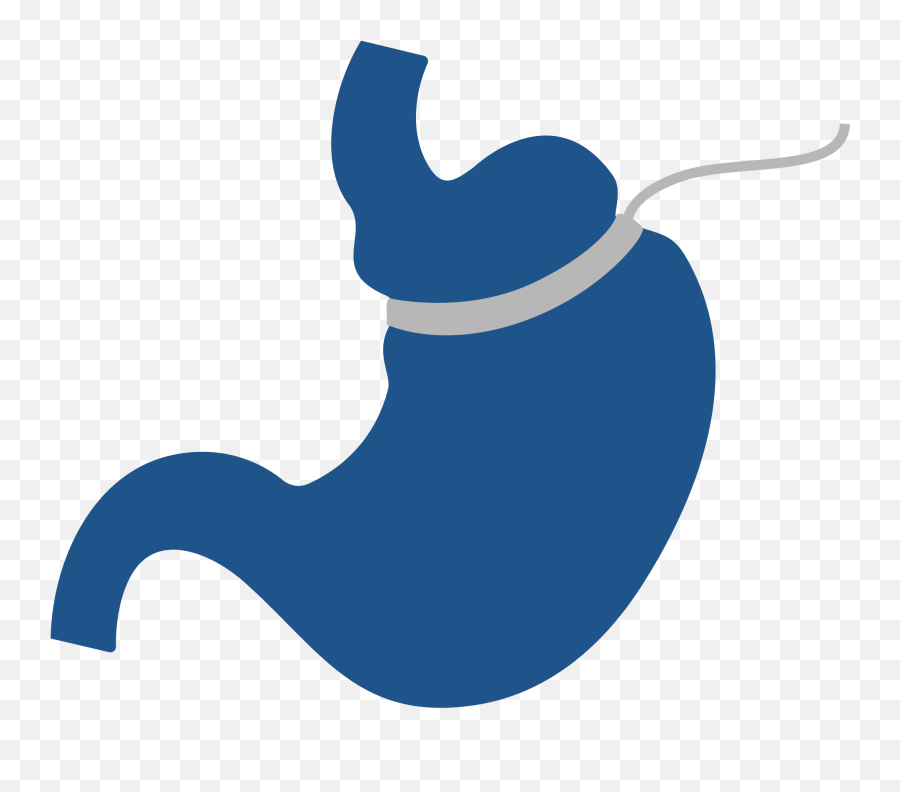 Gastric Band Surgery In Turkey Costs Prices And Operation - Language Png,Full Stomach Icon