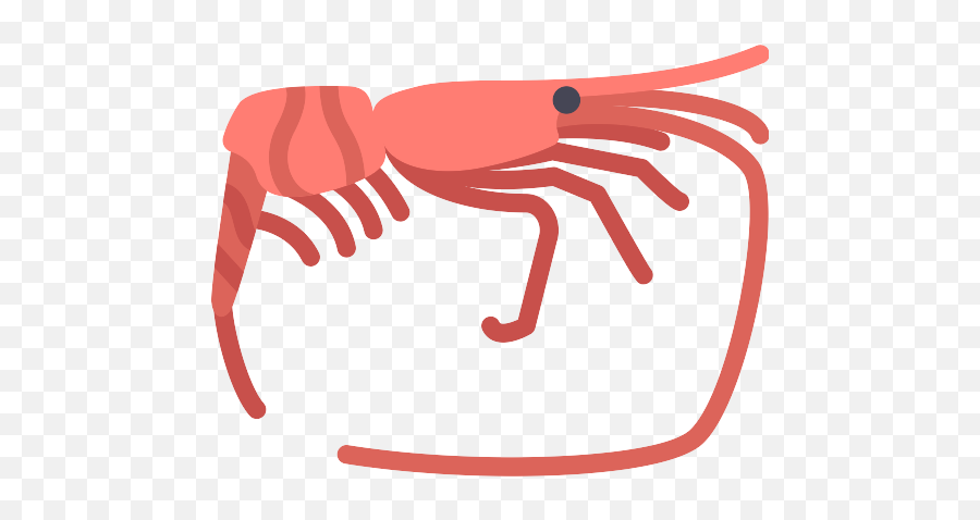 Shrimp Png Icons And Graphics - Icon,Shrimp Png