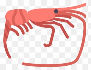 Shrimp Png Icons And Graphics - Icon,Shrimp Png