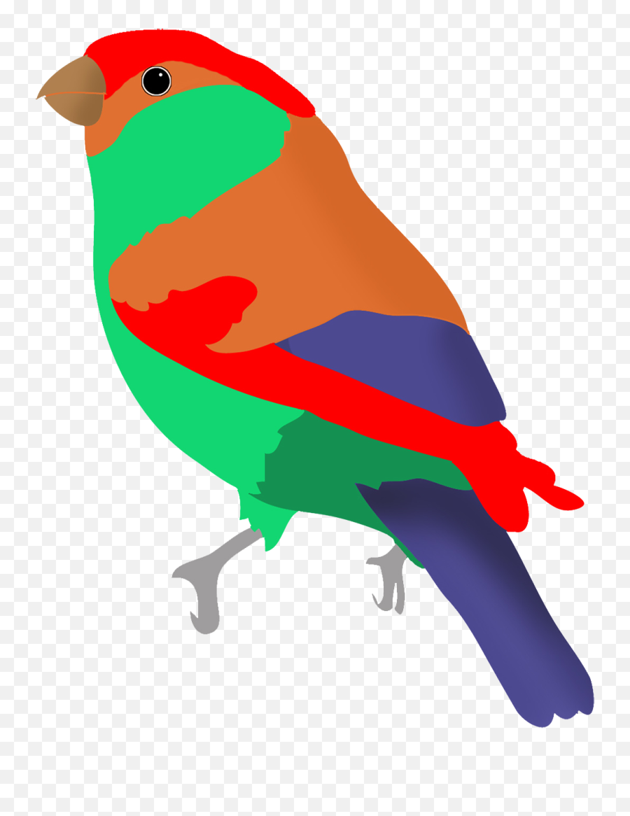 Colorful Drawings Of Birds - Colorful Bird Clipart Png,Red Bird Png
