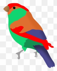 Colorful Drawings Of Birds - Colorful Bird Clipart Png,Red Bird Png
