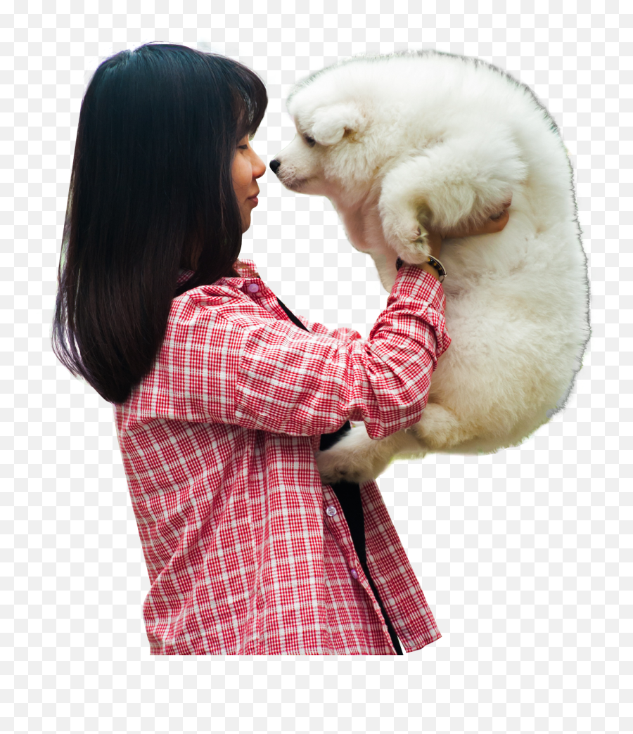 Woman Playing With A Puppy Dog Png Image - Pngpix Png Dog,Dog Png