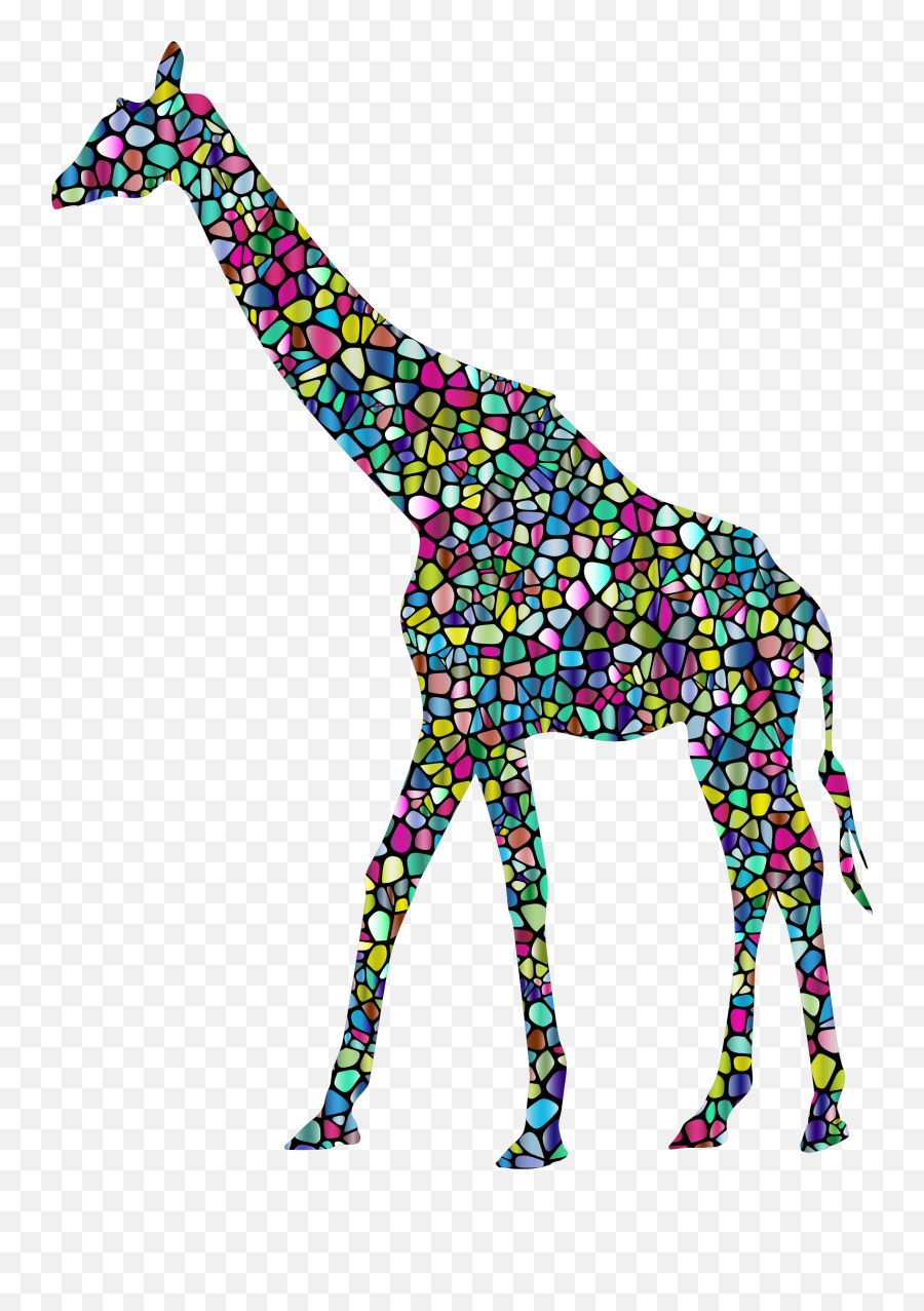 Baby Giraffes West African Giraffe - Transparent Background White Giraffe Png,Giraffe Transparent Background