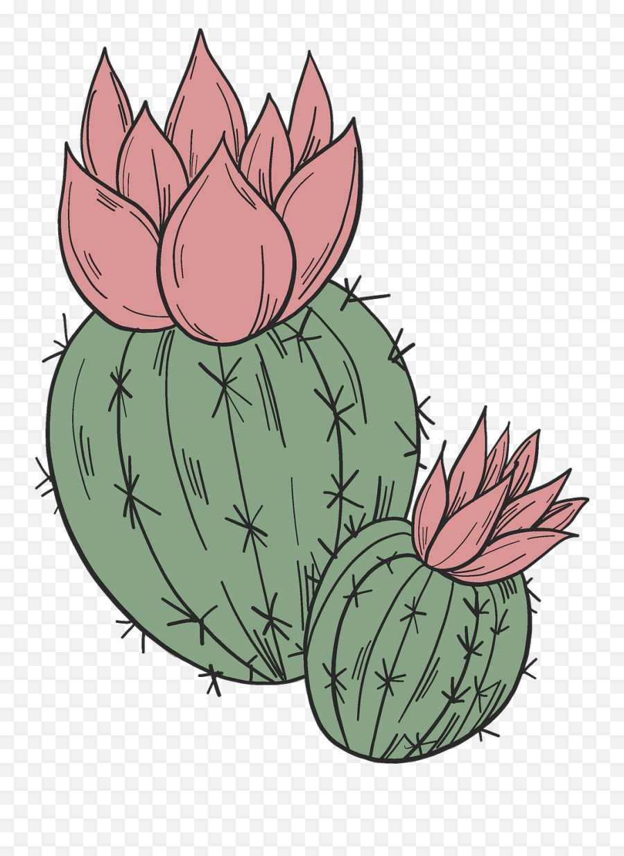 Blooming Cactus Clipart Free Download Creazilla - Clip Art Png,Cactus Clipart Png