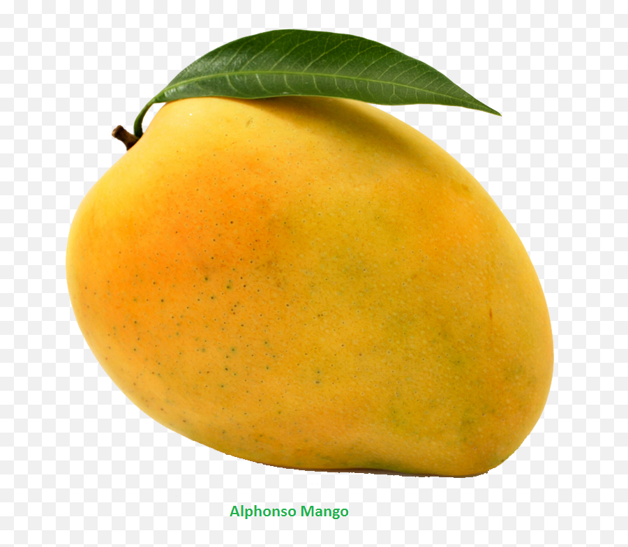 Hd Png Transparent Mango - Clipart Mango,Mango Transparent Background