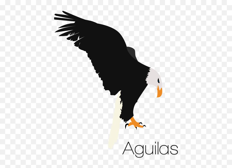 Download Free Eagle Bald Euclidean Vector Graphics Logo Icon - Vector Graphics Png,Eagle Head Logo