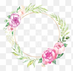 The Peony Patch Freelance Web Designer U0026 Lover - Photography Png,Peonies Png