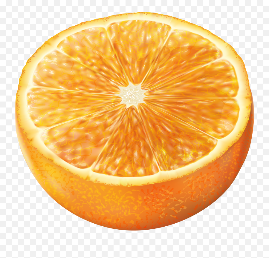 Half Orange Fruit Lime Slice - Half Orange Png,Limon Png