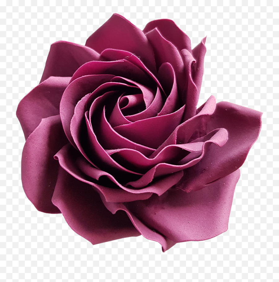Purple Rose - Garden Roses Png,Purple Rose Png