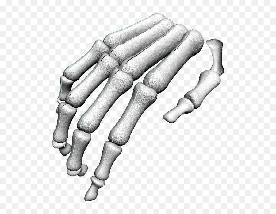 Download Hd Skeleton Arm Png - Skeleton Hand Png Transparent,Skeleton Hand Png