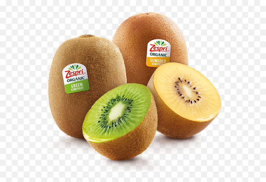 Kiwifruit - Kiwi Sungold Png,Kiwi Png