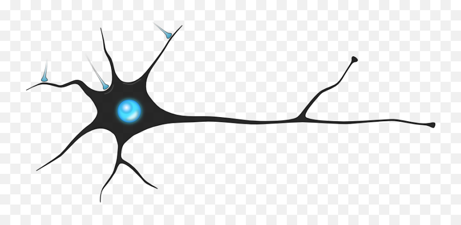 Neuron Png 3 Image - Neuron Png,Neuron Png