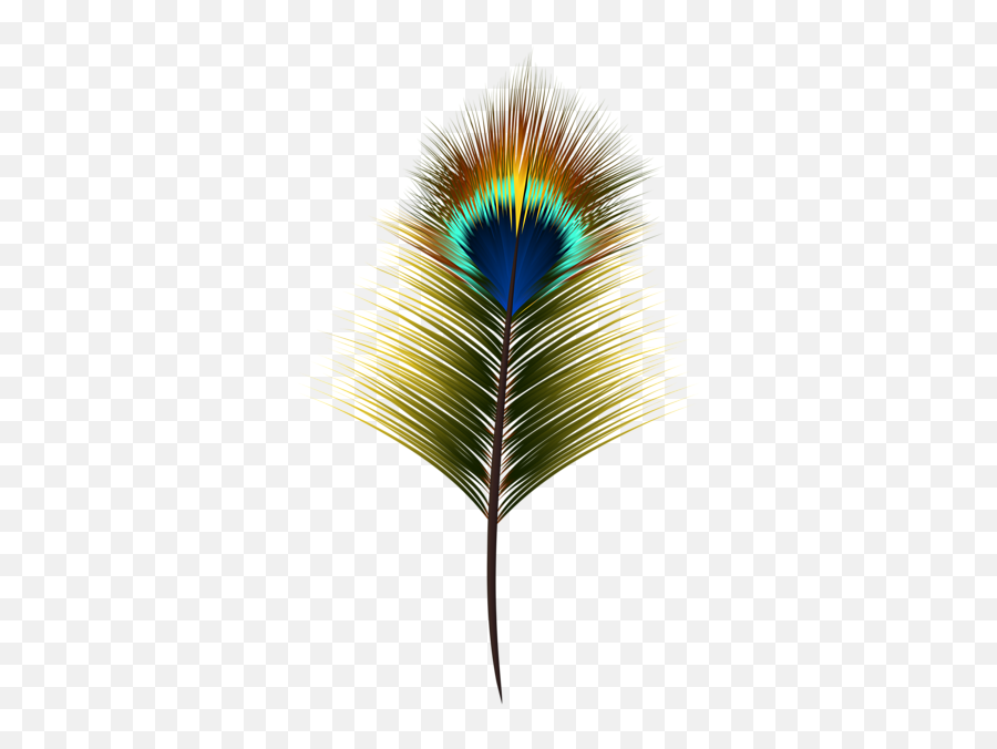 Peacock Feather Png Clip Art - High Resolution Peacock Feather Png,Peacock Feathers Png