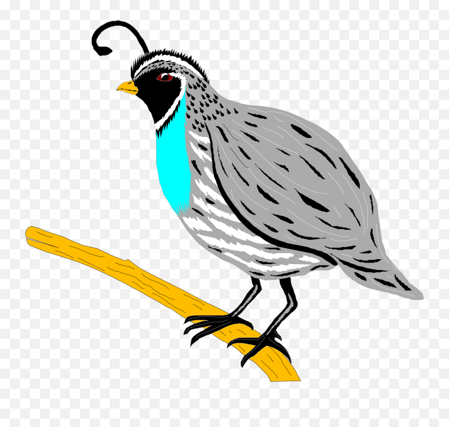 Clipart Of A Quail - Quail Clipart Png,Quail Png