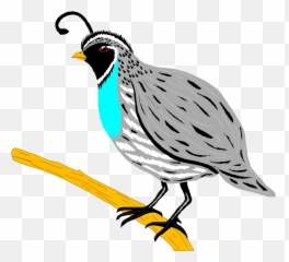 Clipart Of A Quail - Quail Clipart Png,Quail Png