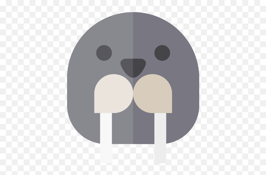Walrus Png Icon 15 - Png Repo Free Png Icons Walrus Icon,Walrus Png