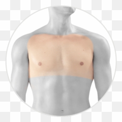 Chest Laser Hair Removal - Take Care Of Your Skin With Enviecouk Barechested Png,Chest Hair Png