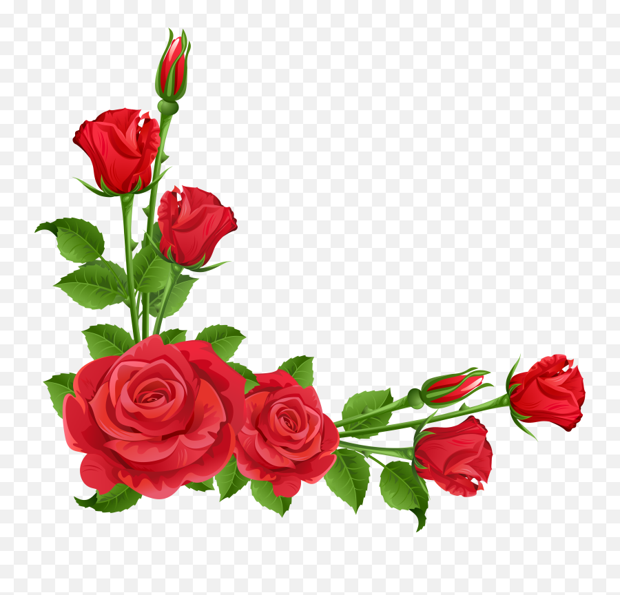 Flower Garden Perennial Plant Pixabay - Border Rose Flower Png,Roses Transparent Background