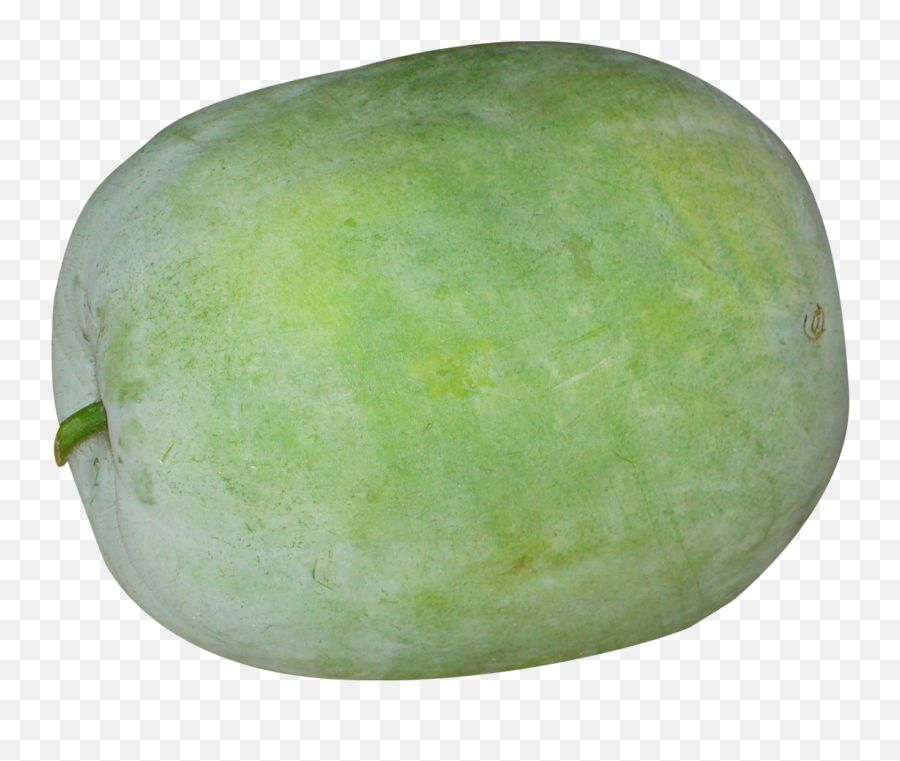 Winter Melon Png Transparent Cartoon