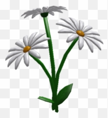 Daisies - Bloxburg Flowers Png,Daisies Png