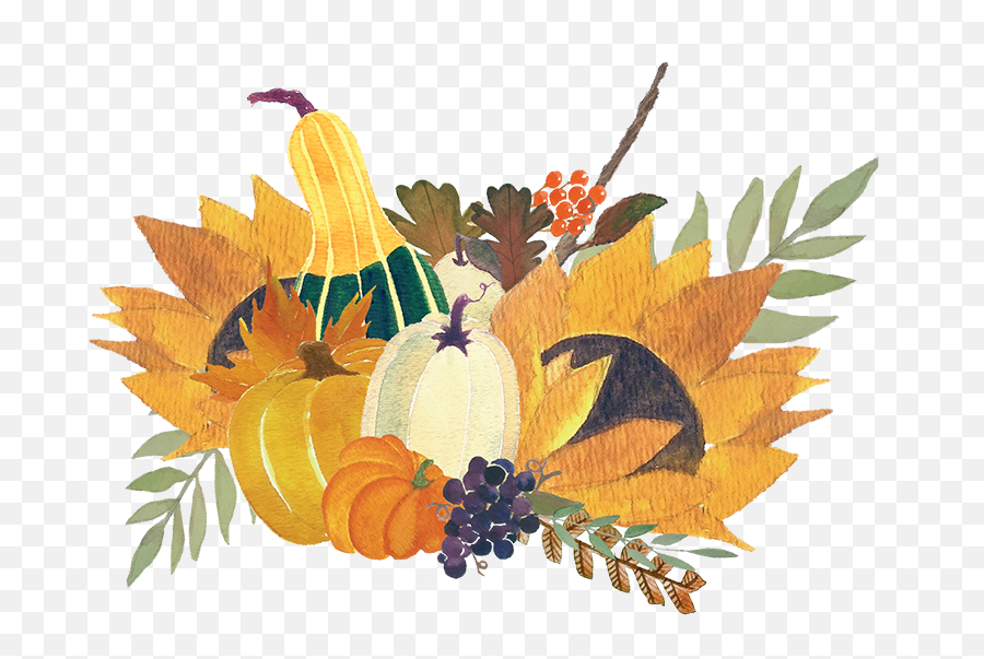 Sunflower Clipart Thanksgiving - Thanksgiving Watercolor Png Happy Thanksgiving Watercolor Floral,Thanksgiving Clipart Png